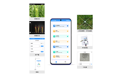 望德堂区小麦表型检测仪IN-XM04